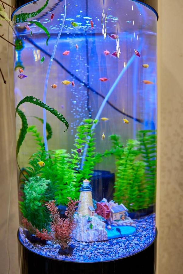 Spa Lux Apartmani โนวีซาด ภายนอก รูปภาพ